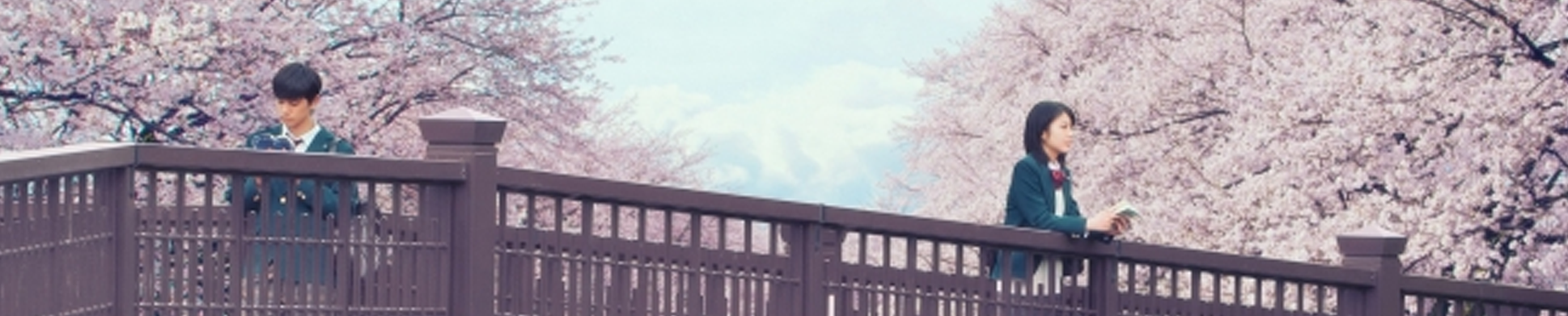 between footer image